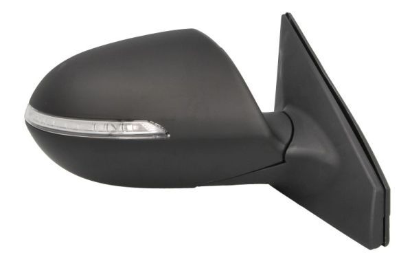 BLIC 5402-53-0671313P Exterior Mirror