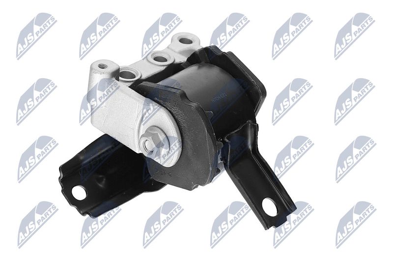 Paigutus, Mootor, NTY ZPS-CH-071