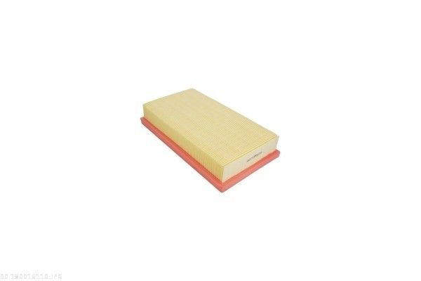 AUTOMEGA 180016110 Air Filter