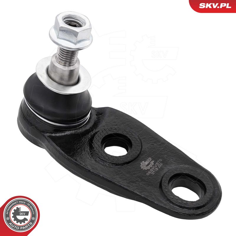 Kande-, juhtliigend, ESEN...