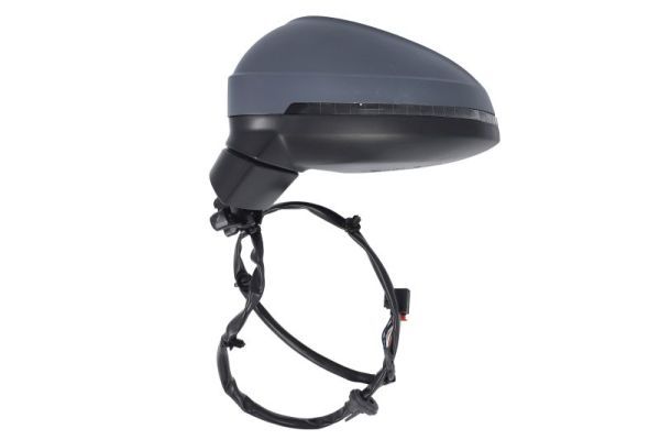 BLIC 5402-25-0054310P Exterior Mirror