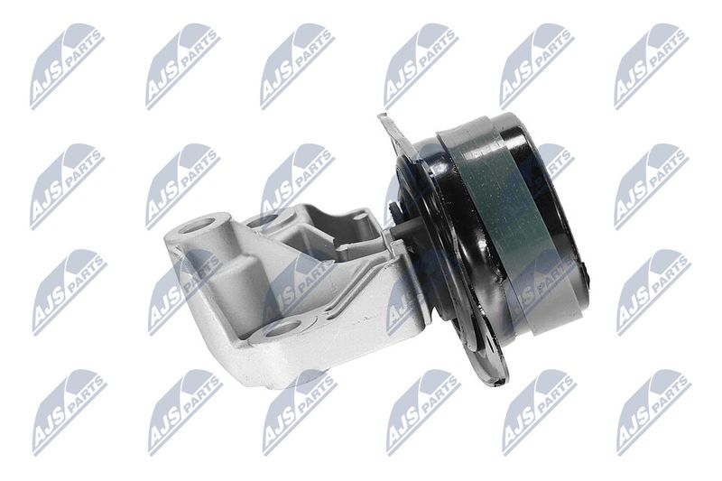 Paigutus, Mootor, NTY ZPS-CH-147