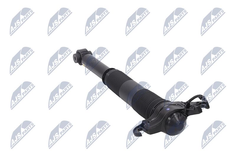 Amort, NTY A-LR-022