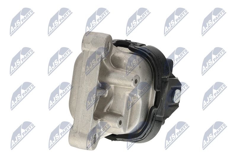 Paigutus, Mootor, NTY ZPS-CH-019