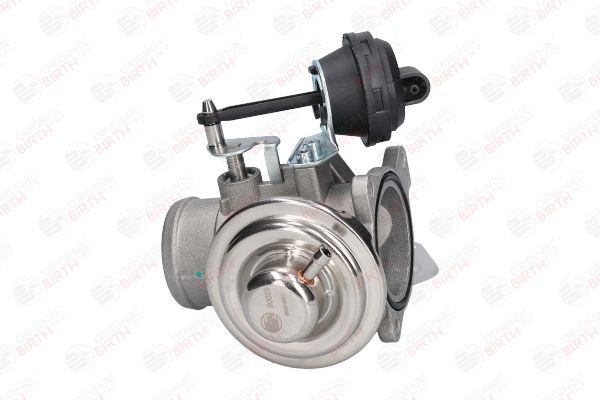 BIRTH 90025 EGR Valve