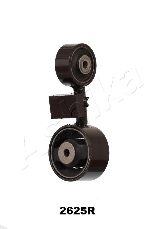 GOM-2625_1.JPG