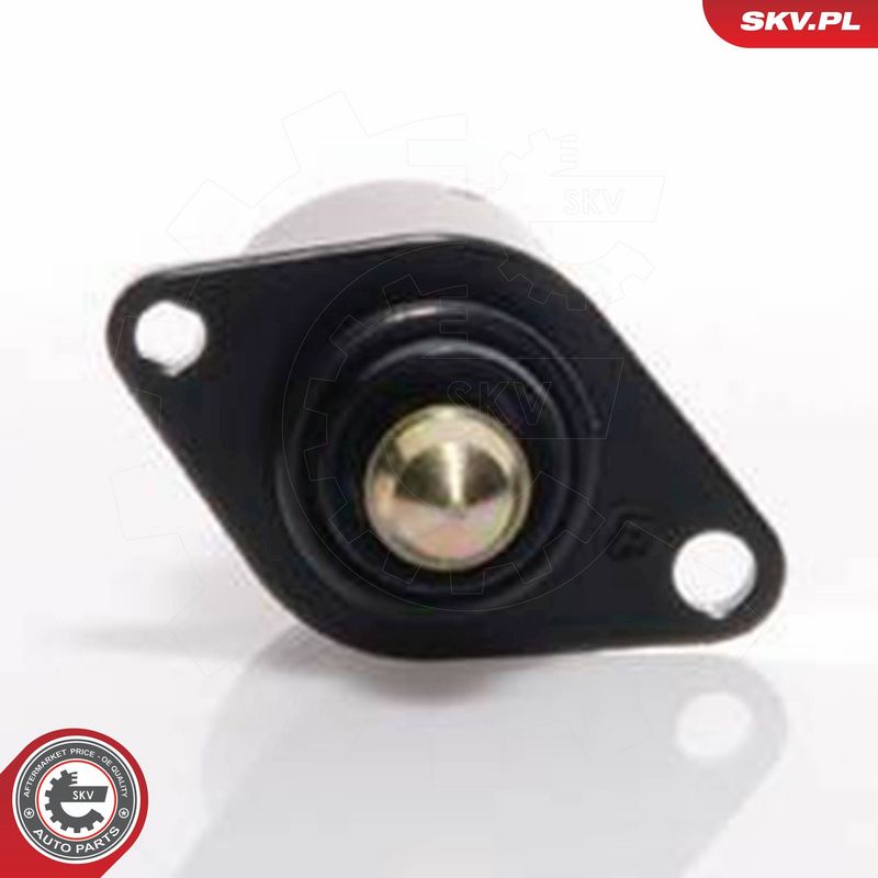 ESEN SKV 08SKV001 Idle Control Valve, air supply