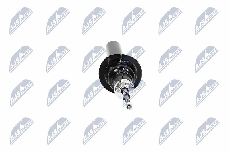 Amort, NTY A-CH-065