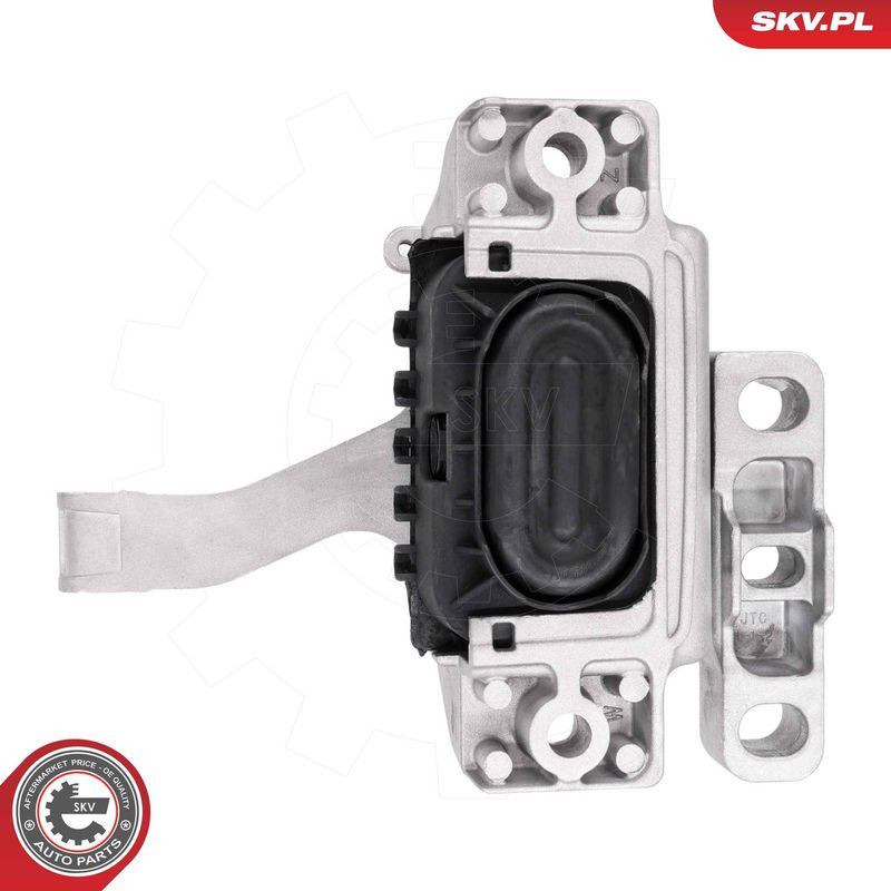 Paigutus, Mootor, ESEN SKV 75SKV102