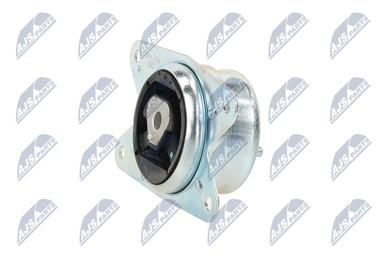 Paigutus, Mootor, NTY ZPS-PL-075