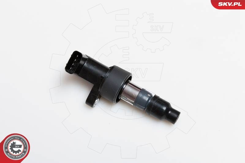 ESEN SKV 03SKV171 Ignition Coil