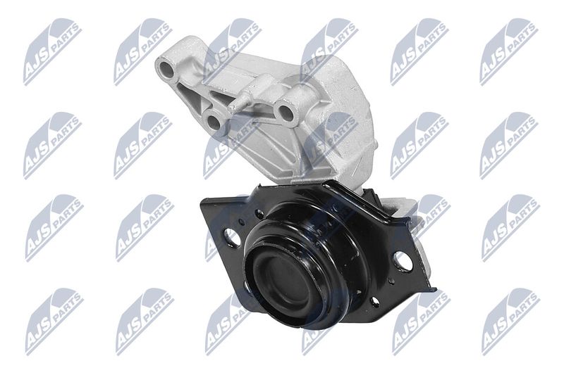 NTY ZPS-RE-071 Mounting, engine
