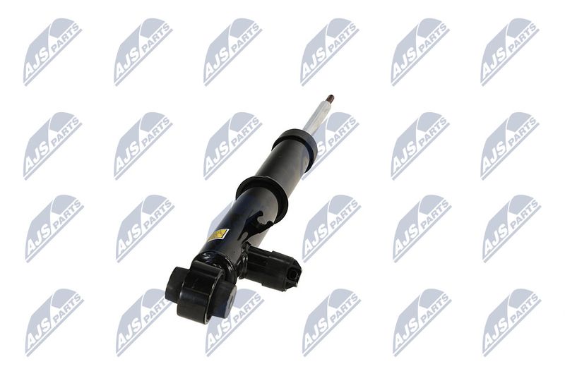 Amort, NTY A-LR-035