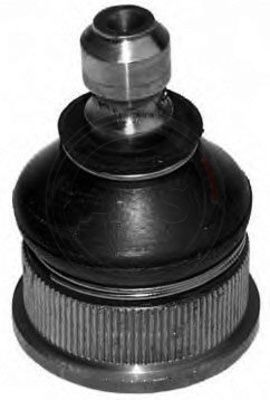 220044.JPG