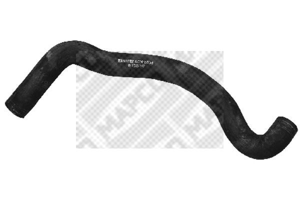39384#0.JPG
