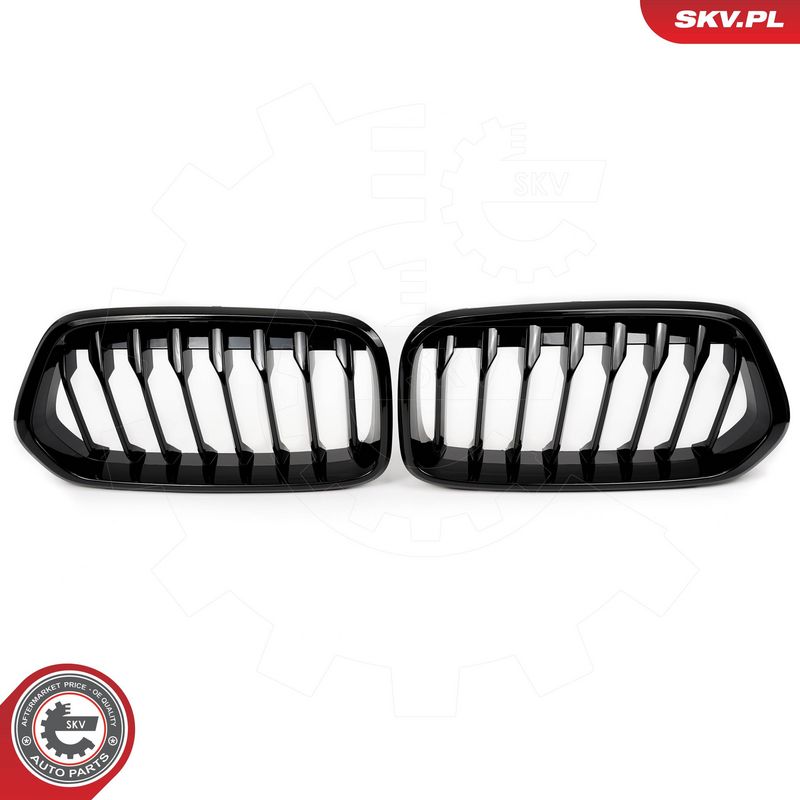 Radiaatorivõre, ESEN SKV 66SKV245