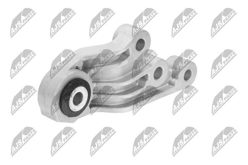 Paigutus, Mootor, NTY ZPS-CH-123