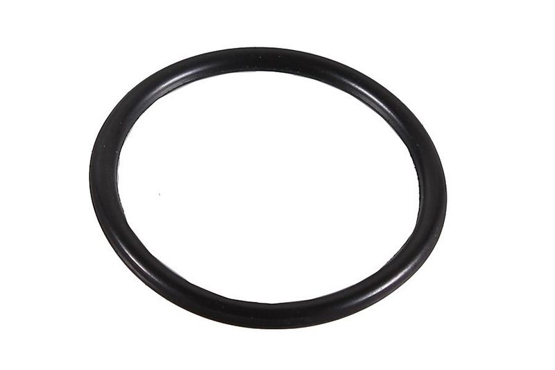 METZGER AUTOTEILE 2430009 - Riebokšlis