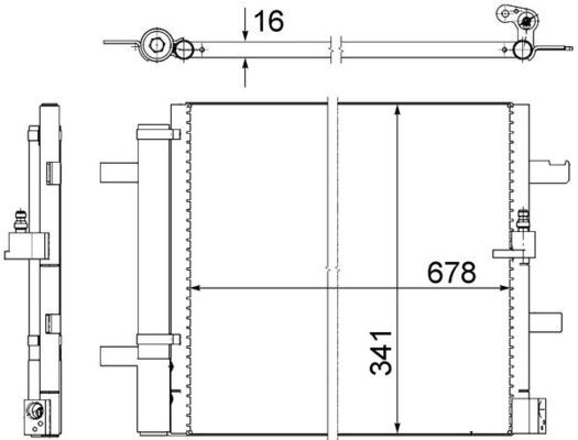 293248907.JPG