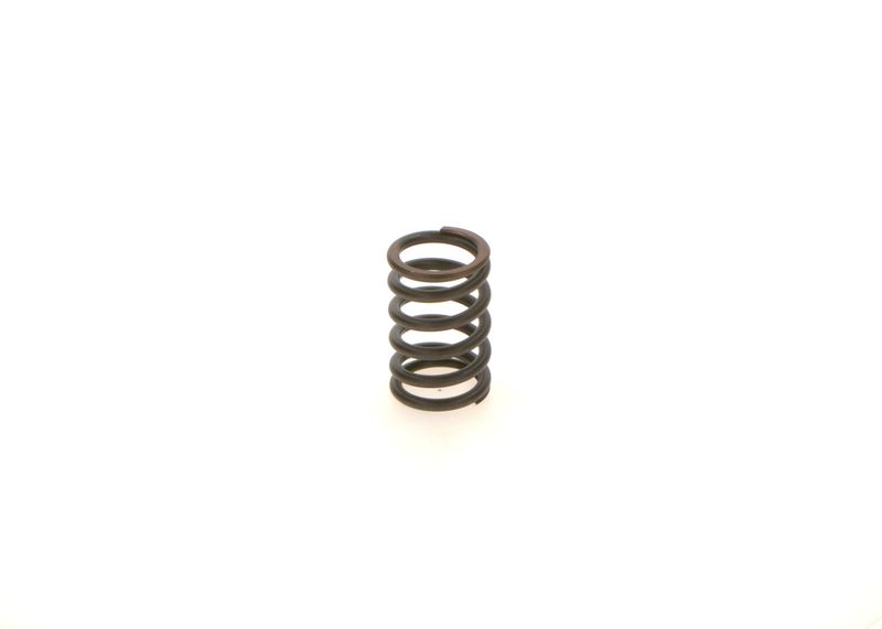 BOSCH 1414619025 Spring