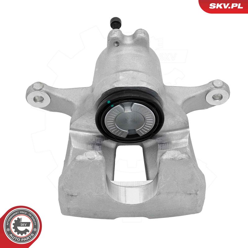 Pidurisadul, ESEN SKV 89SKV493