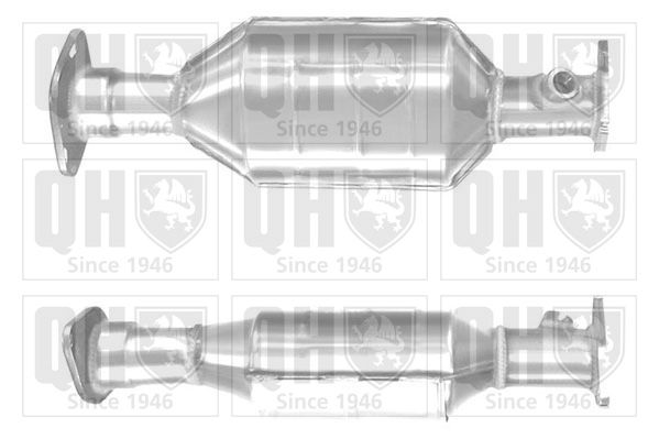 QH_QCAT90887H.JPG