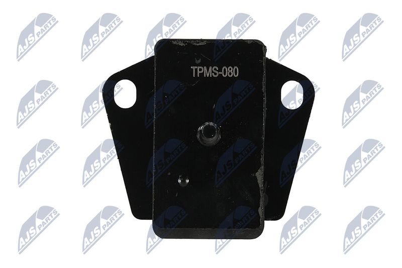 Paigutus, Mootor, NTY ZPS-MS-080