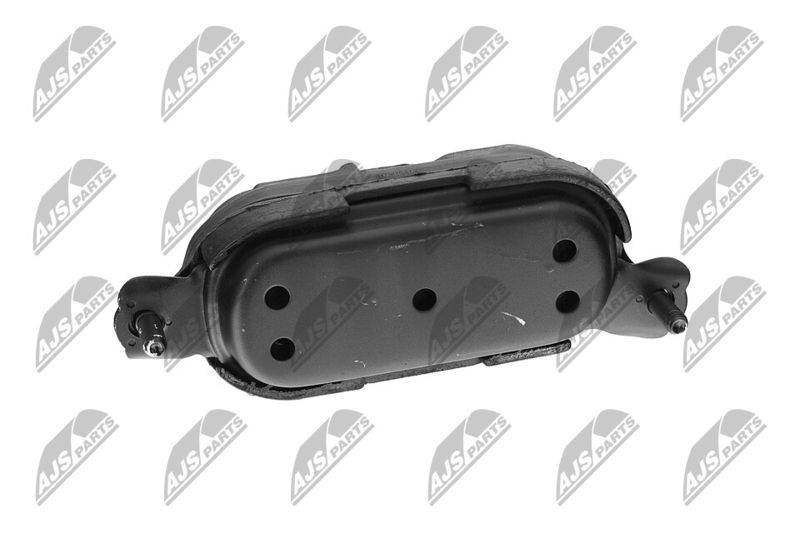 Paigutus, Mootor, NTY ZPS-CH-115