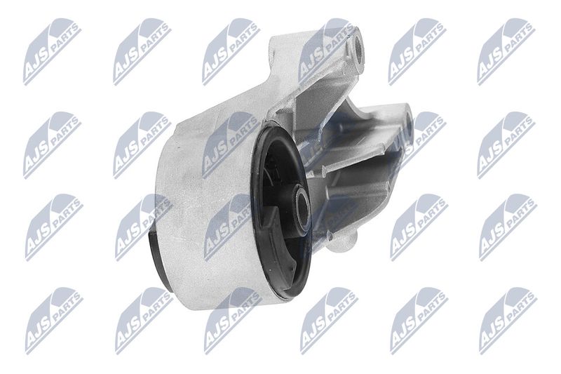 Paigutus, Mootor, NTY ZPS-PL-069