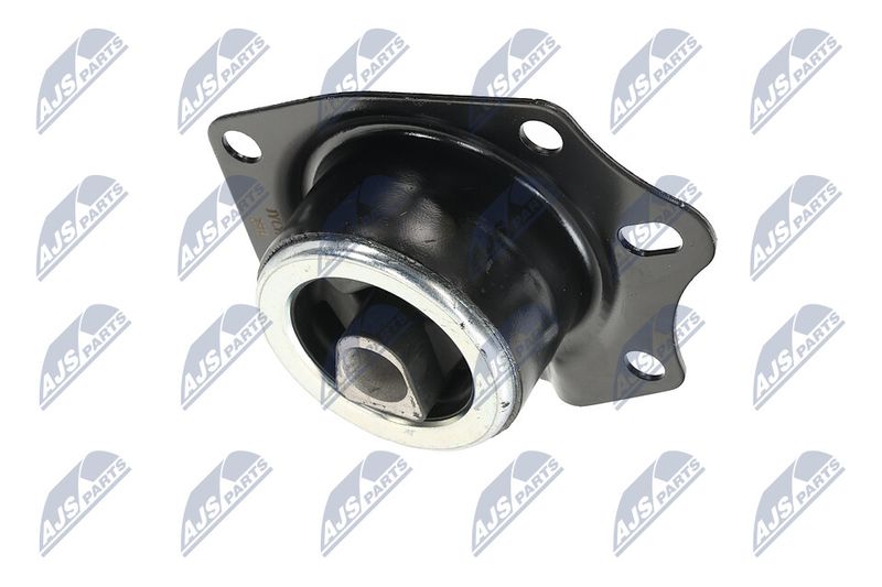 Paigutus, Mootor, NTY ZPS-CH-014