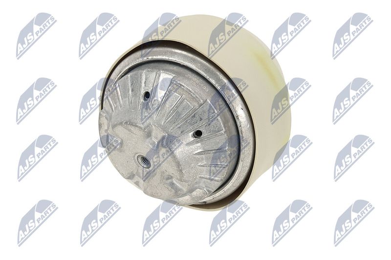 Paigutus, Mootor, NTY ZPS-ME-100