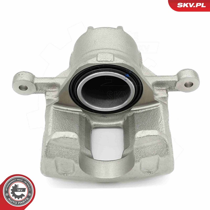 ESEN SKV 56SKV881 Brake Caliper