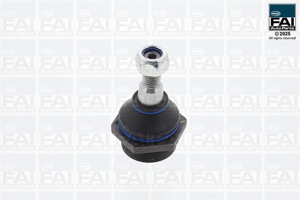 FAI AutoParts Šarnyras / girgždukas