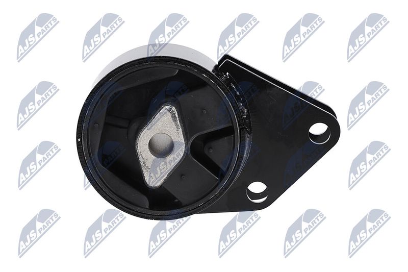 Paigutus, Mootor, NTY ZPS-CH-064