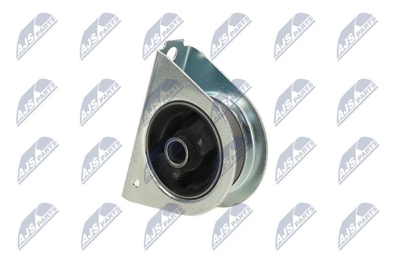 Paigutus, Mootor, NTY ZPS-MS-009