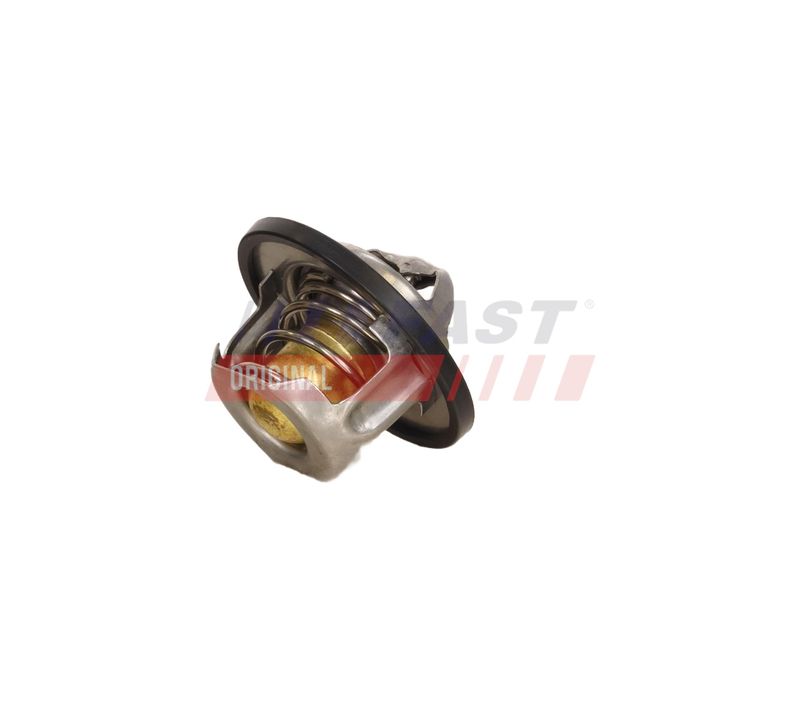 Termostaat, Jahutusvedelik, FAST FT58009