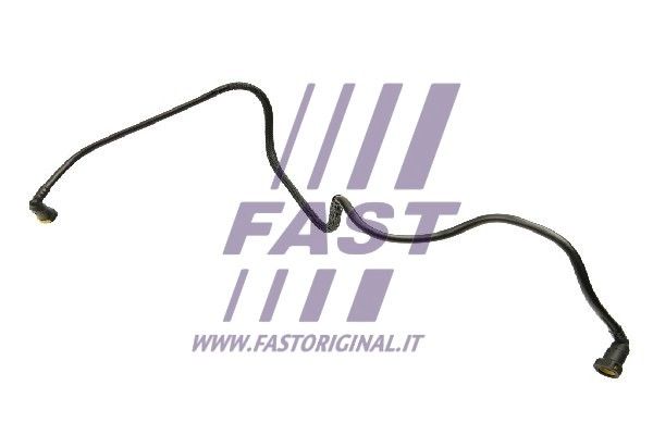 FT39602_1_1.JPG