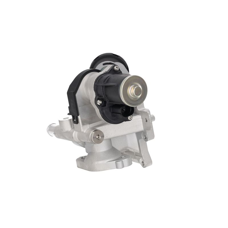 NISSENS 98381 EGR Valve