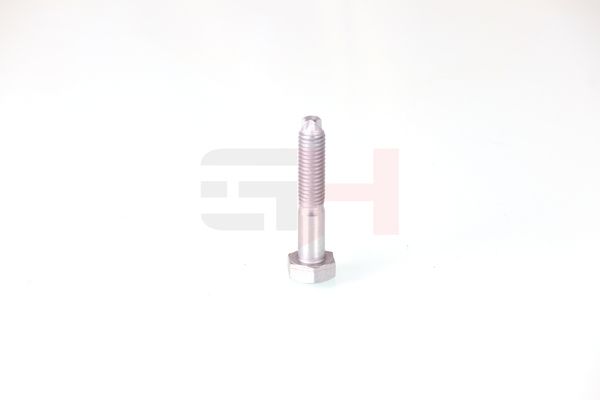 GH GH-393708 Bolt, kingpin