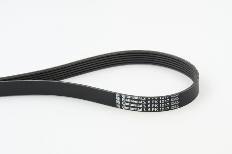 CONTINENTAL CTAM 6PK1217 V-Ribbed Belt