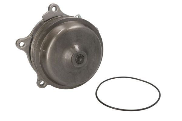 THERMOTEC WP-DF123 Water Pump, engine cooling