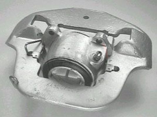 523532.JPG