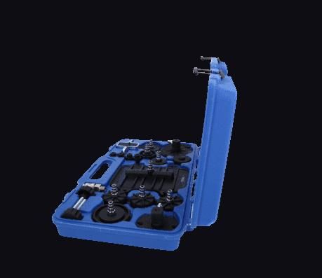 KS TOOLS BT701220 Bleeder Adaptor Set