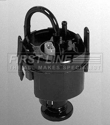 FFP1164_1787716.JPG