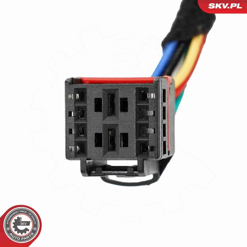 ESEN SKV 52SKV199 Electric Motor, tailgate