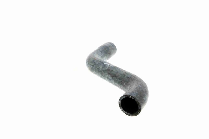 VAICO V40-1337 Radiator Hose