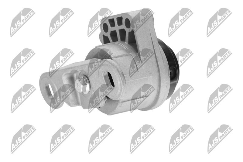 Paigutus, Mootor, NTY ZPS-FR-044