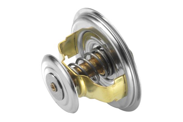 BorgWarner (Wahler) 4530.80 Thermostat, coolant