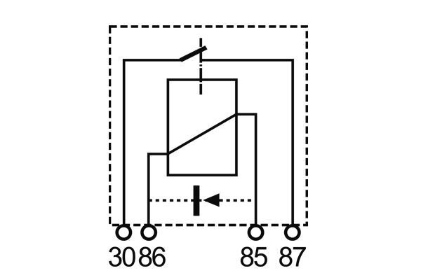 173177667.JPG