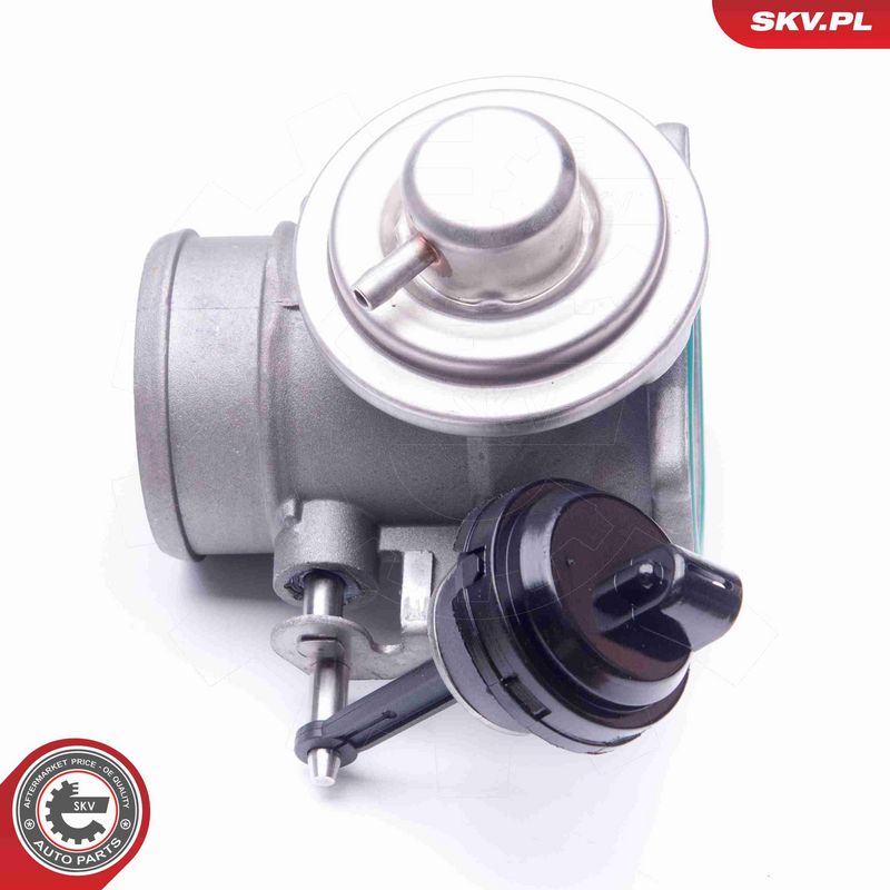 ESEN SKV 14SKV106 EGR Valve